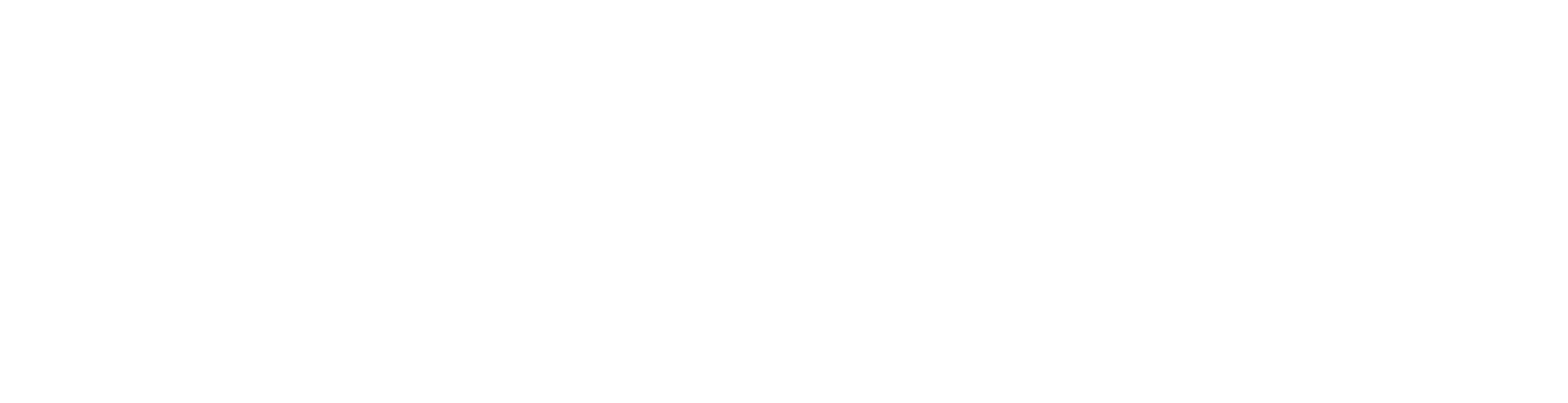 Talenses Executive